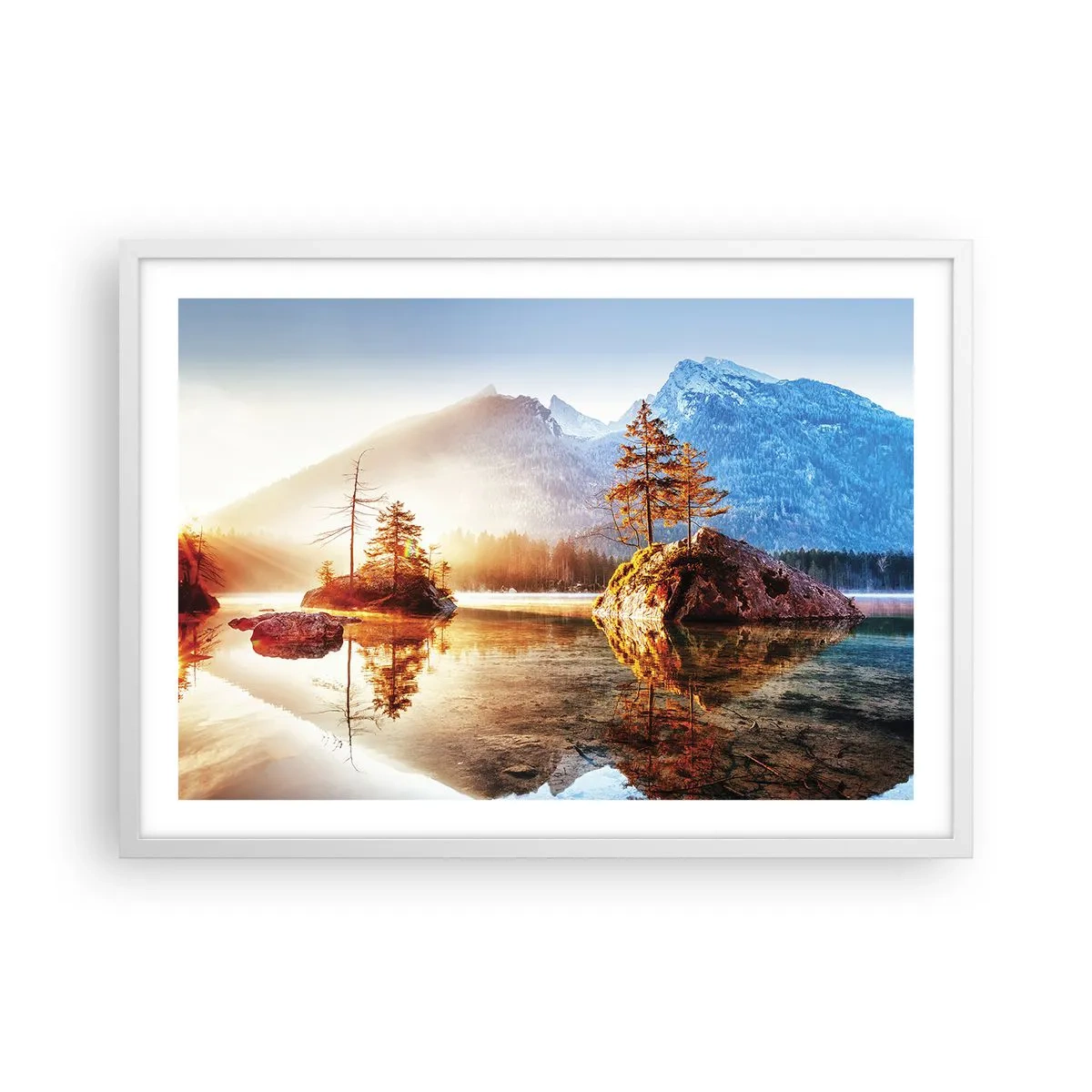 Affisch i vit ram - Naturen i ett nytt ljus - 70x50 cm