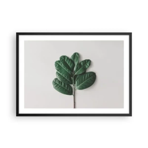 Affisch i svart ram - Själva naturens bild - 70x50 cm