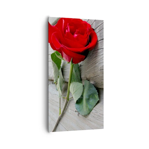 Canvastavla - Bild på duk - En studie i scharlakansröd - 65x120 cm