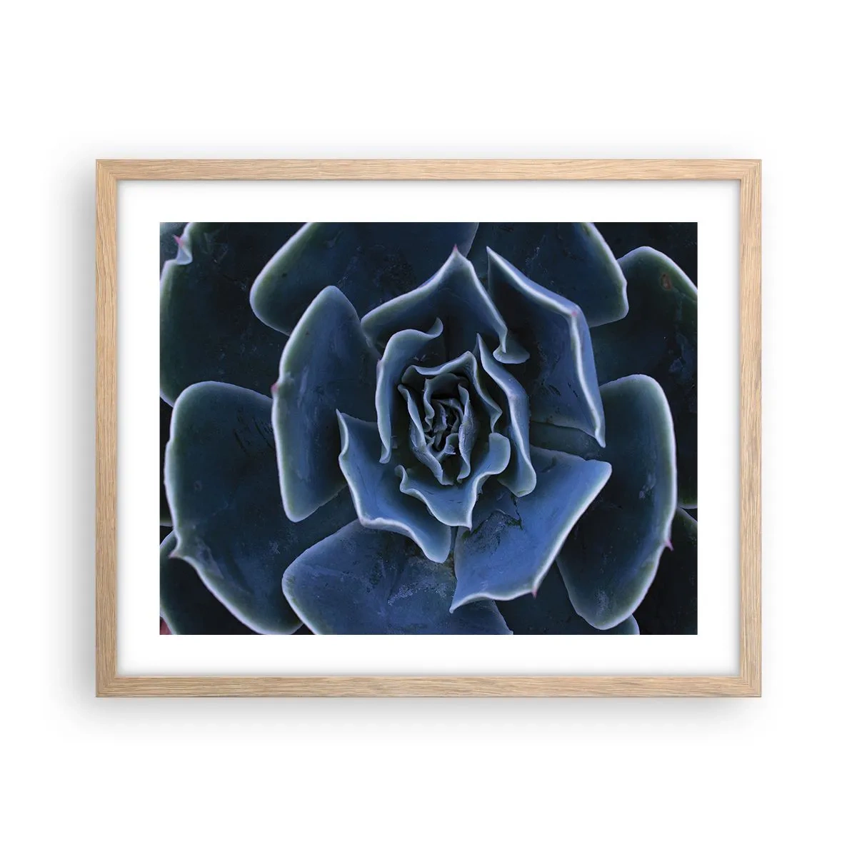 Affisch i ram av ljusek - Öknens blomma - 50x40 cm