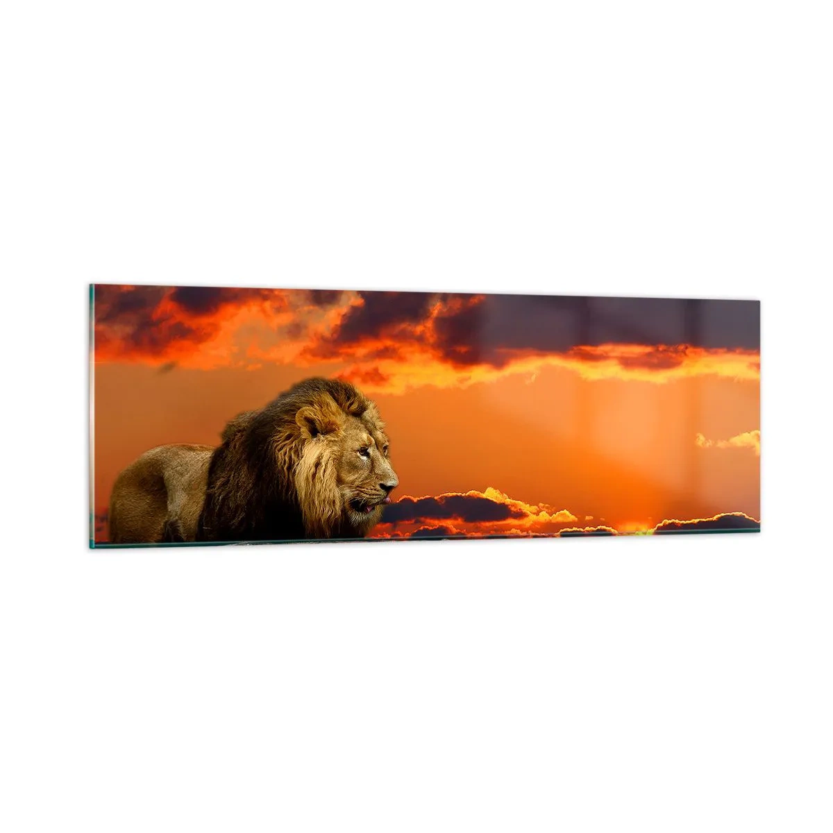 Glastavla - Bild på glas - Naturens kung - 90x30 cm