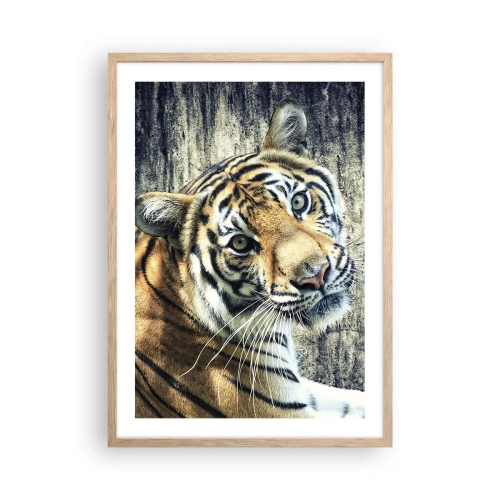 Affisch i ram av ljusek - Porträtt i ljusstrålar - 50x70 cm