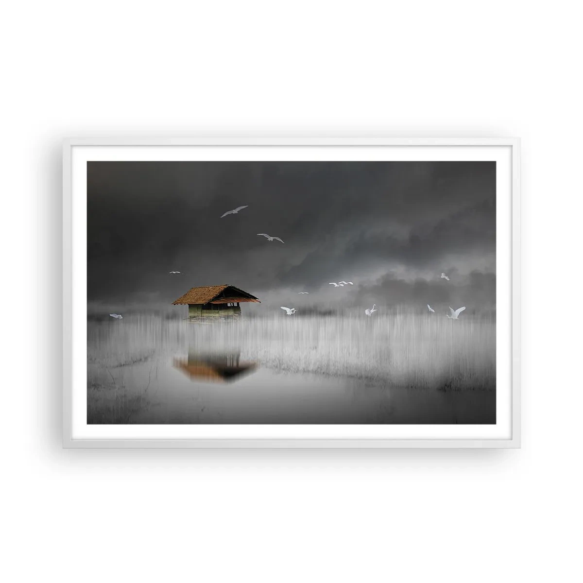 Affisch i vit ram - Regnskydd - 91x61 cm