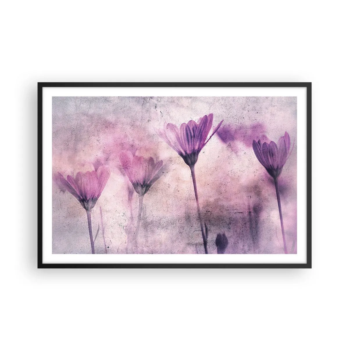 Affisch i svart ram - Blommornas sömn - 91x61 cm