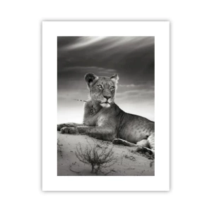 Affisch - Öknens drottnings vila - 30x40 cm