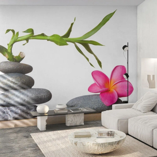 Fototapet Premium Sand - Livets färger och varaktighet - Blomma, Stenar, Spa - 100x70 cm