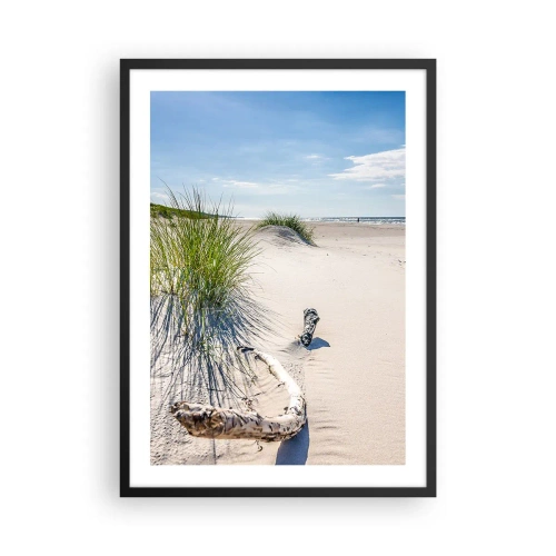 Affisch i svart ram - Strand med sanddyner, gräs och grenar i solljuset - 50x70cm - Vackrast? Östersjöstrand - Modern väggdekoration för vardagsrum och sovrum ARTTOR