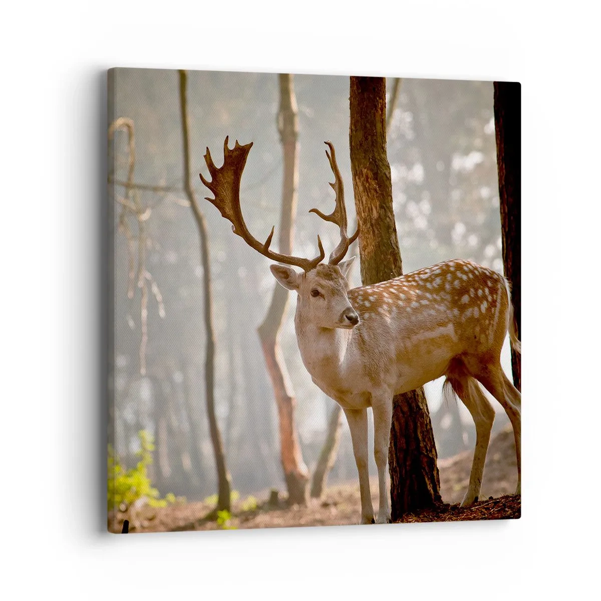 Canvastavla - Bild på duk - Ungdomens ljus - 40x40 cm