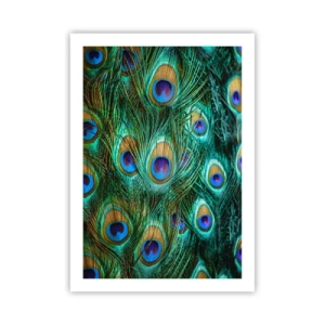 Affisch - Påfågels blick - 50x70 cm