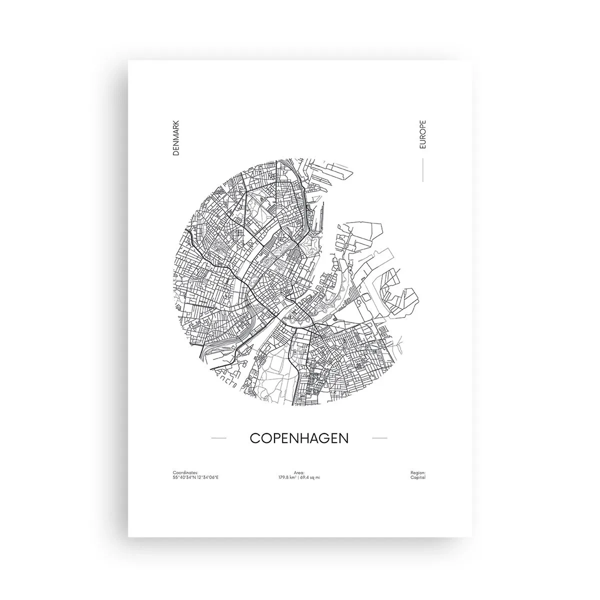 Affisch - Köpenhamns anatomi - 50x70 cm