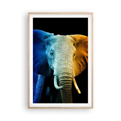 Affisch i ram av ljusek - Excentriker, ej kuf - 61x91 cm