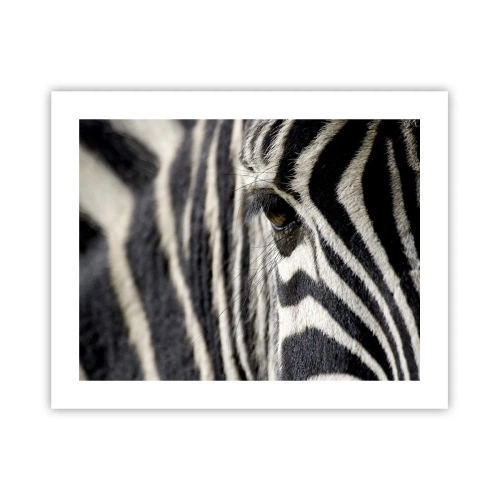 Affisch - Randig porträtt - 50x40 cm