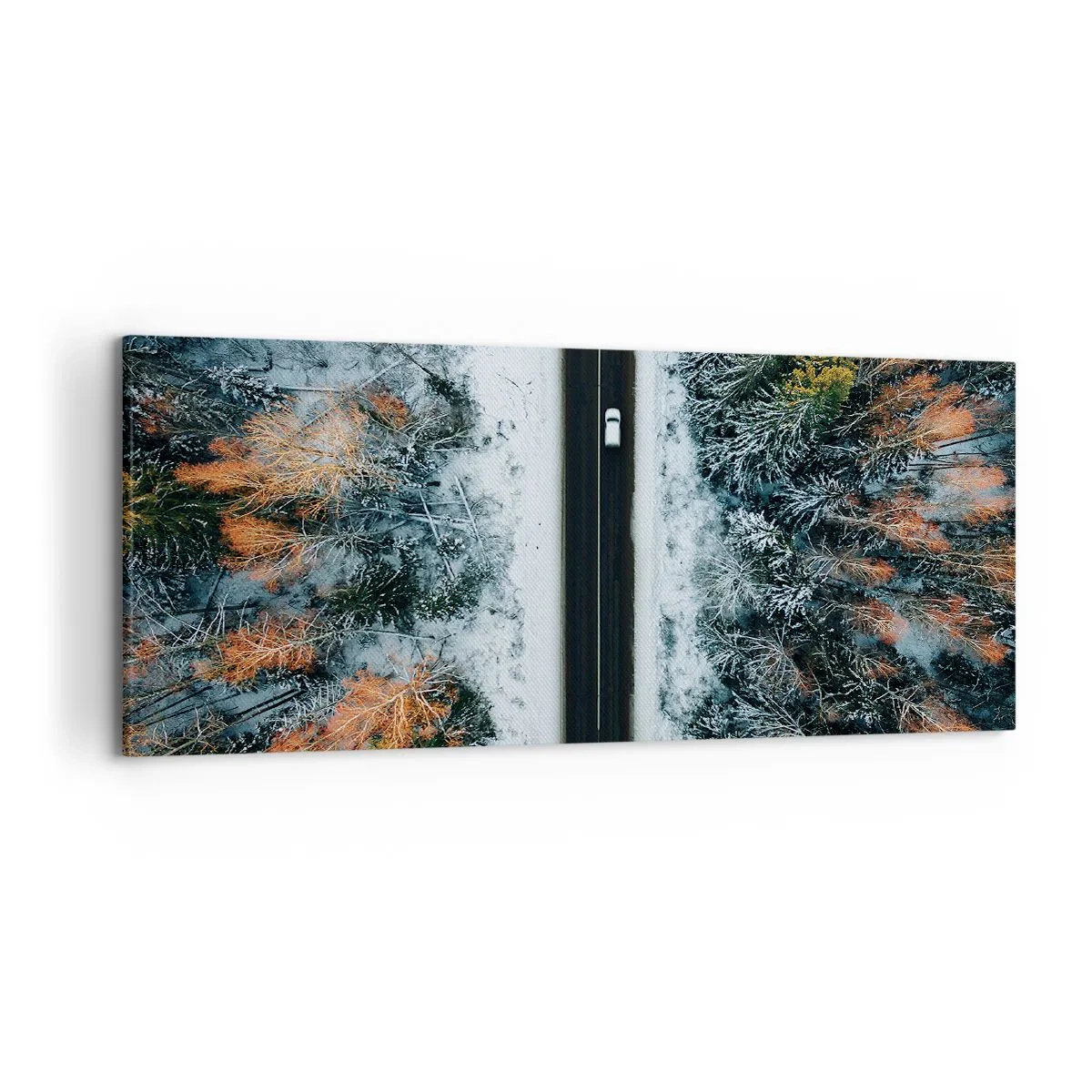 Canvastavla - Bild på duk - Genom vinterskogen - 120x50 cm