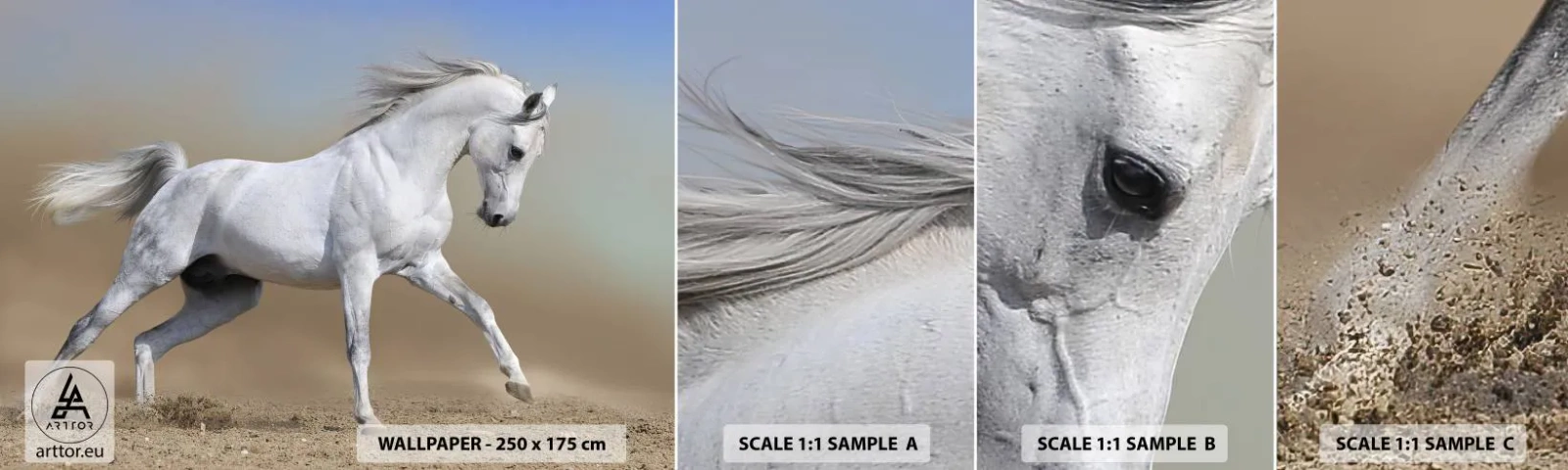 Fototapet Prov Standard Eco - Den vackraste arabiska sagan - Häst, Djur, Galopp - 100x30 cm