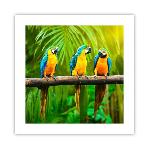 Affisch - Har du hört att hon...? - 40x40 cm