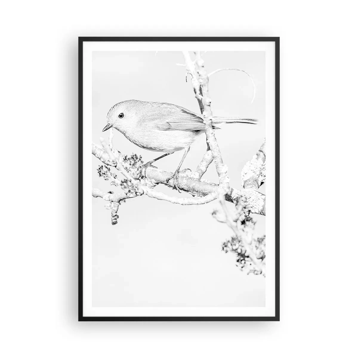 Affisch i svart ram - Vintermorgon - 70x100 cm