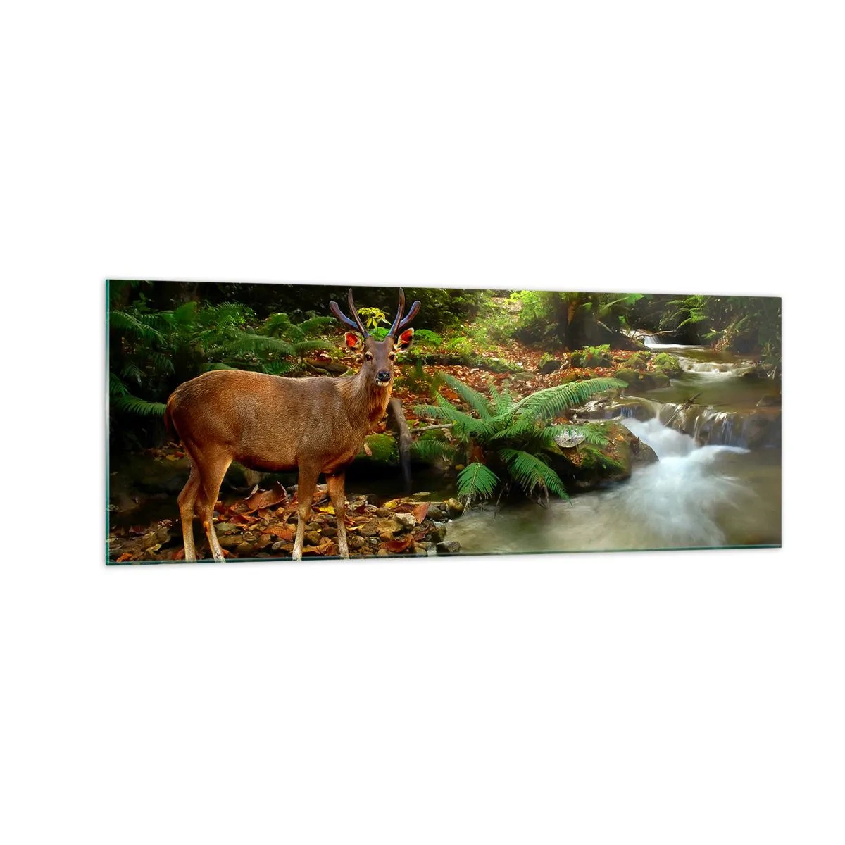 Glastavla - Bild på glas - Välkommen till min värld - 140x50 cm