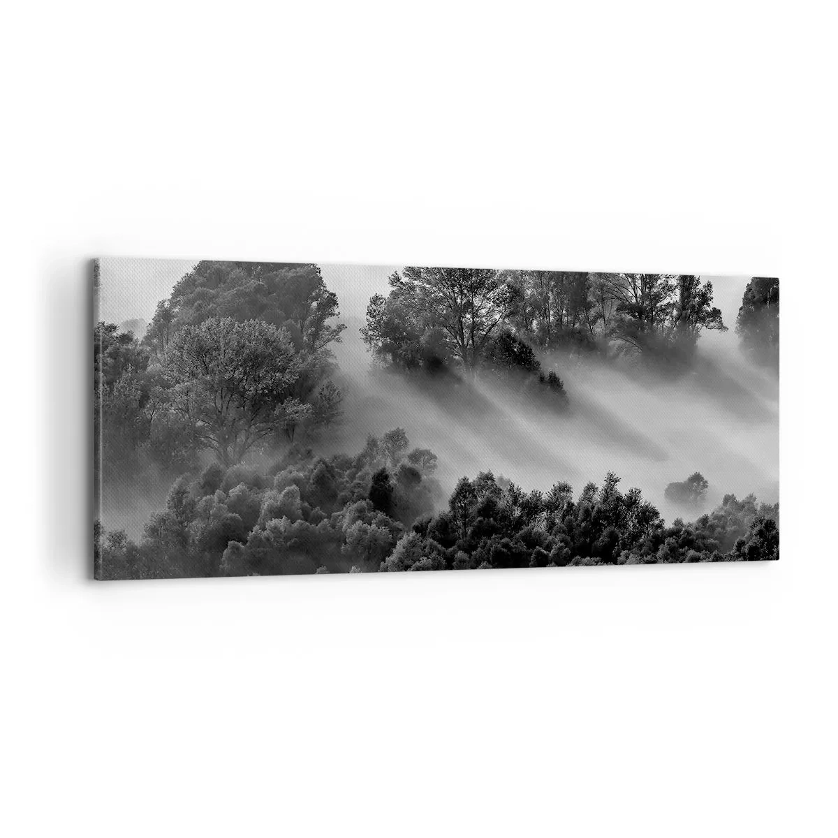 Canvastavla - Bild på duk - Stiger ur sömnen - 100x40 cm