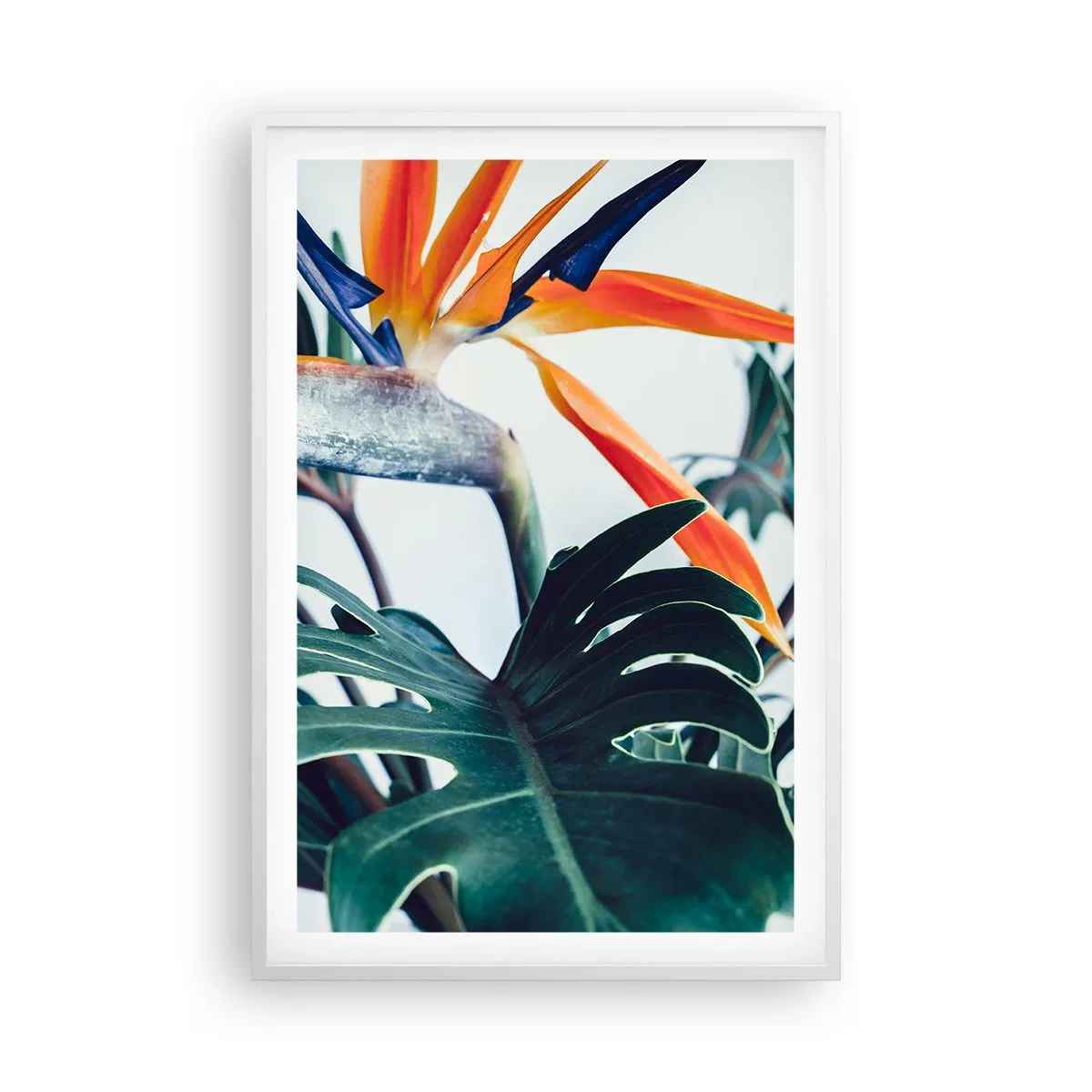 Affisch i vit ram - Fågelbuske - 61x91 cm