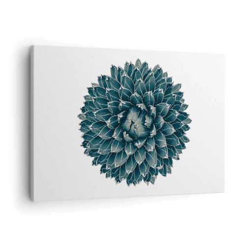 Canvastavla - Bild på duk - Symmetrisk suckulentväxt på vit bakgrund - 70x50cm - Öknens stjärna - Modern väggdekoration för vardagsrum och sovrum ARTTOR