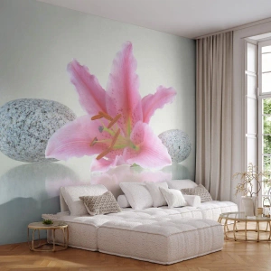 Självhäftande Fototapet Deluxe Sticker - En studie i rosa, grå och vit - Blommor, Lilja, Stenar - 100x70 cm
