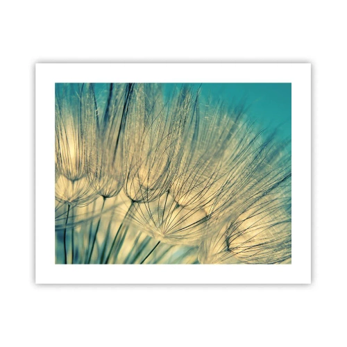 Affisch - I väntan på vinden - 50x40 cm