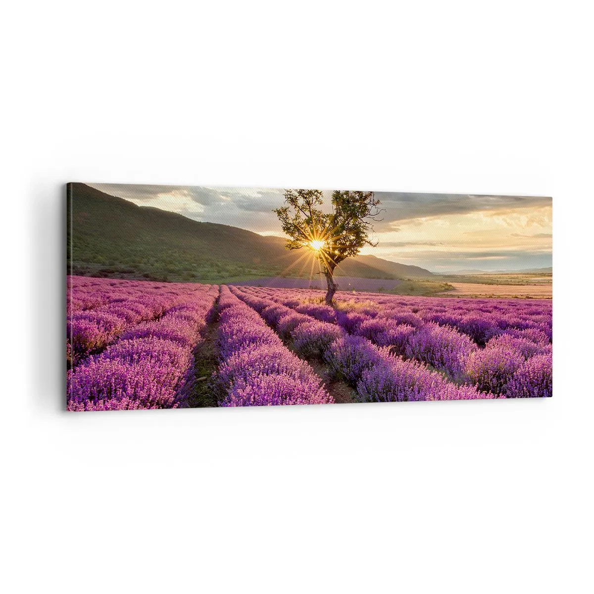 Canvastavla - Bild på duk - Arom i lila färg - 100x40 cm