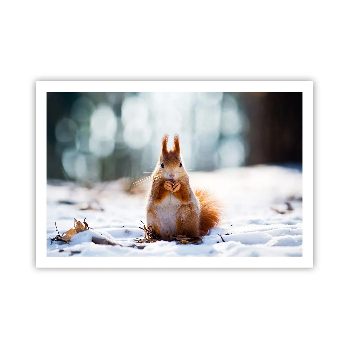 Affisch - Vad glor du på? - 91x61 cm