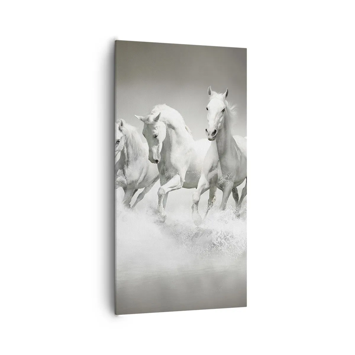 Canvastavla - Bild på duk - Vit vildhet - 65x120 cm
