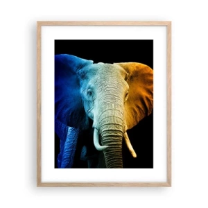 Affisch i ram av ljusek - Excentriker, ej kuf - 40x50 cm