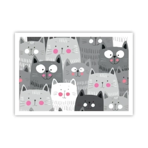 Affisch - Katternas värld - 100x70 cm