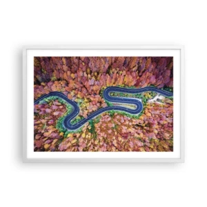 Affisch i vit ram - Slingrande väg genom skogen - 70x50 cm