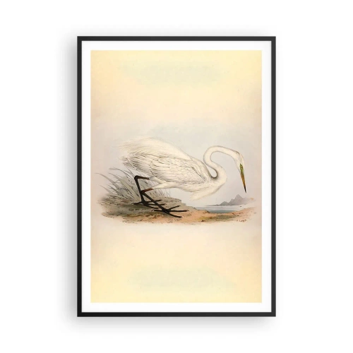 Affisch i svart ram - En dam i vassen - 70x100 cm