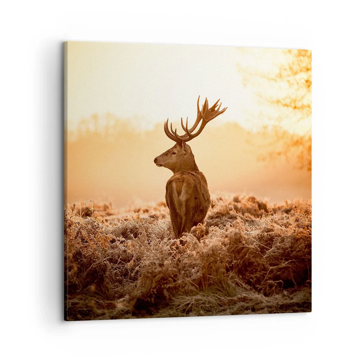 Canvastavla - Bild på duk - Herre på godset - 50x50 cm