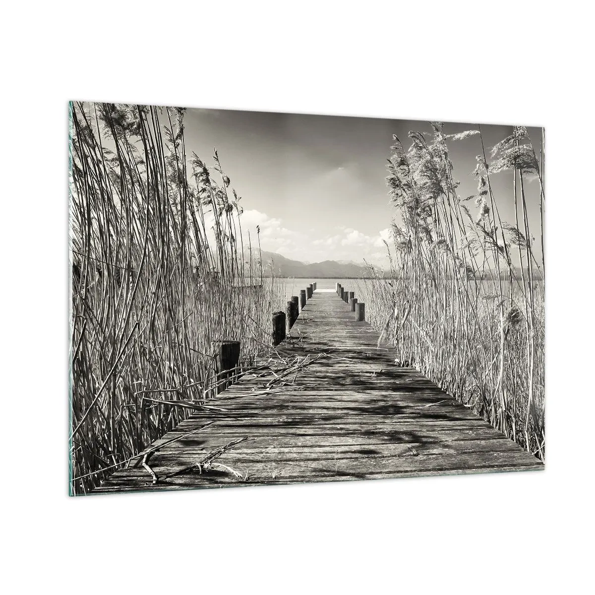 Glastavla - Bild på glas - I gräsets fristad - 100x70 cm