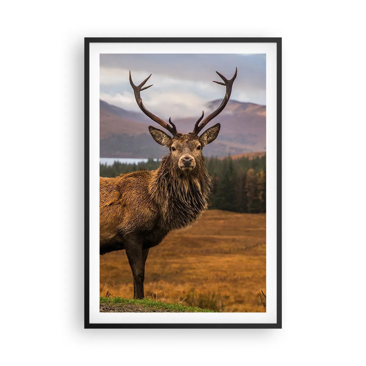 Affisch i svart ram - Naturens majestät - 61x91 cm