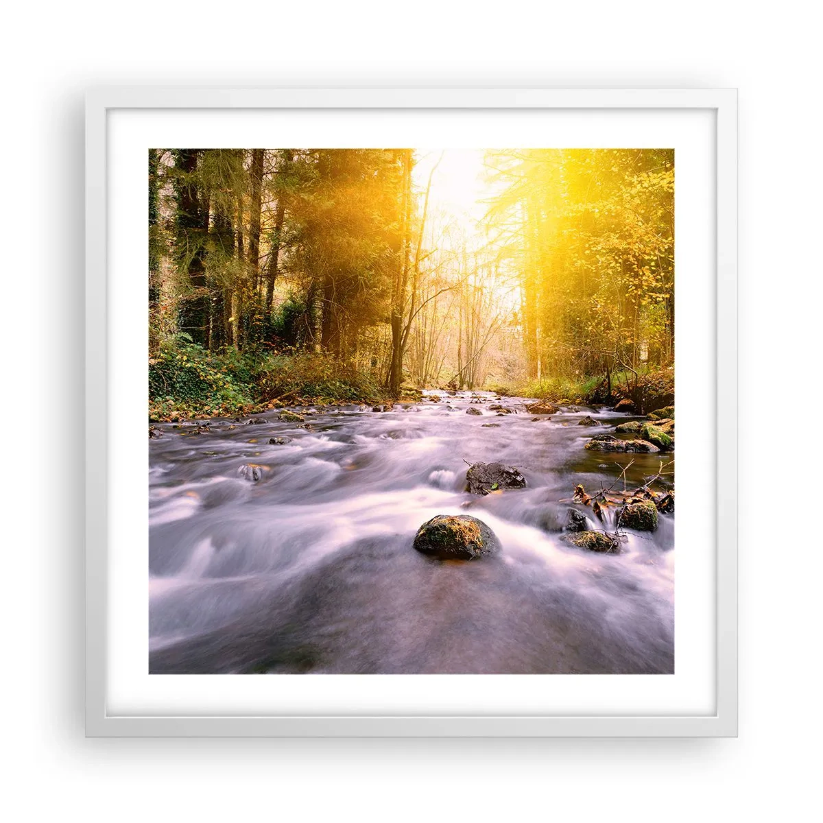 Affisch i vit ram - Malakit i silver-guld infattning - 50x50 cm