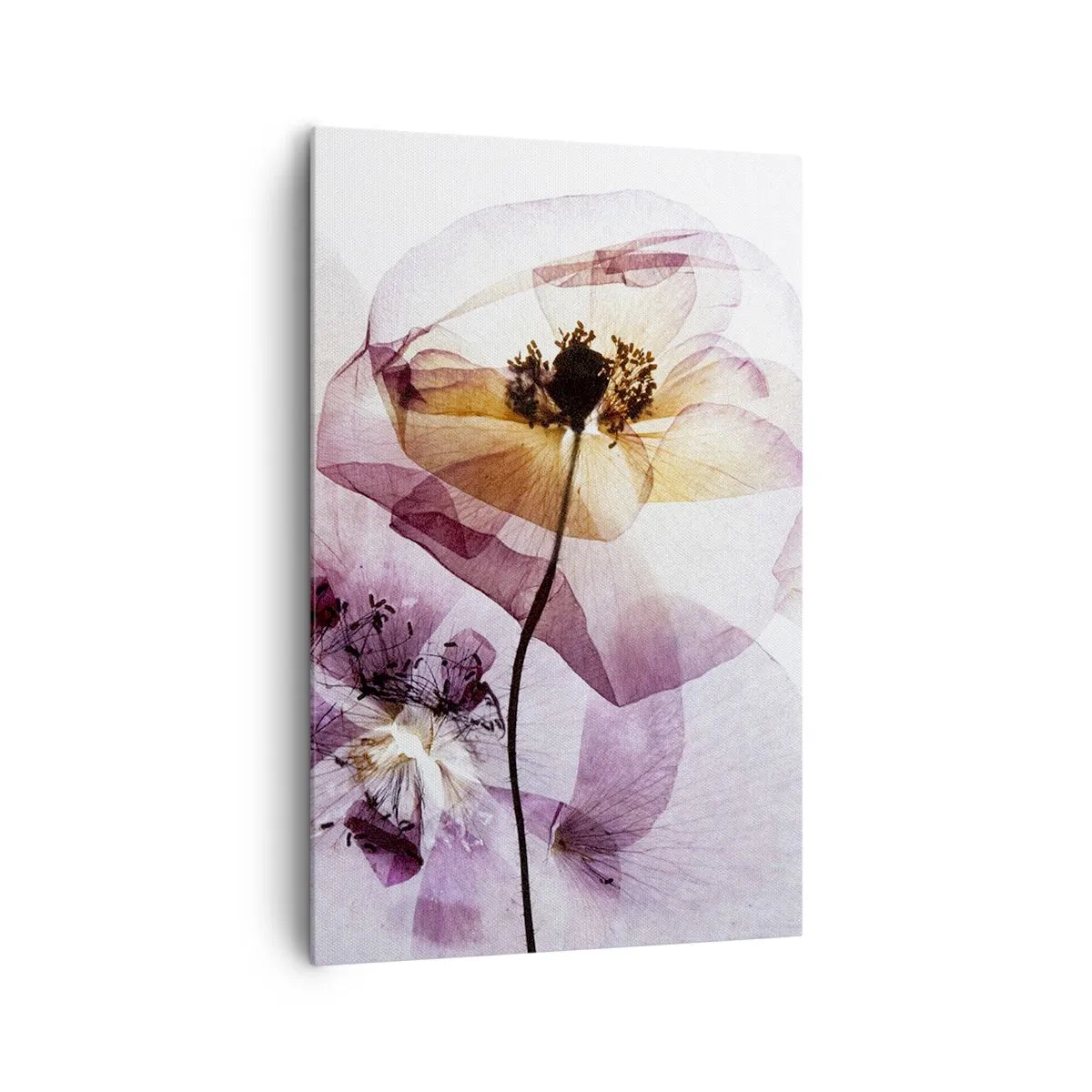 Canvastavla - Bild på duk - Blommornas transparenta kroppar - 80x120 cm