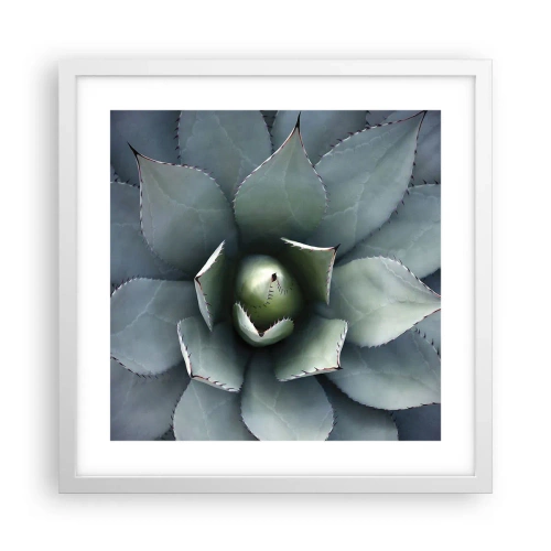 Affisch i vit ram - Lockar och varnar - 40x40 cm