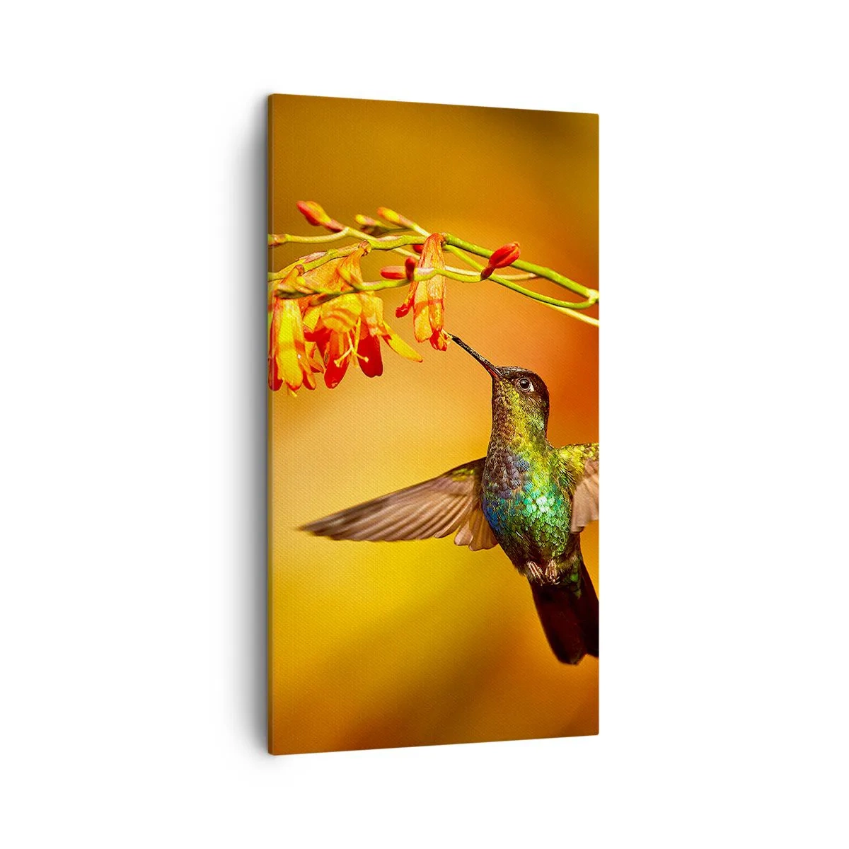 Canvastavla - Bild på duk - Ljusbud enligt Mayafolket - 45x80 cm