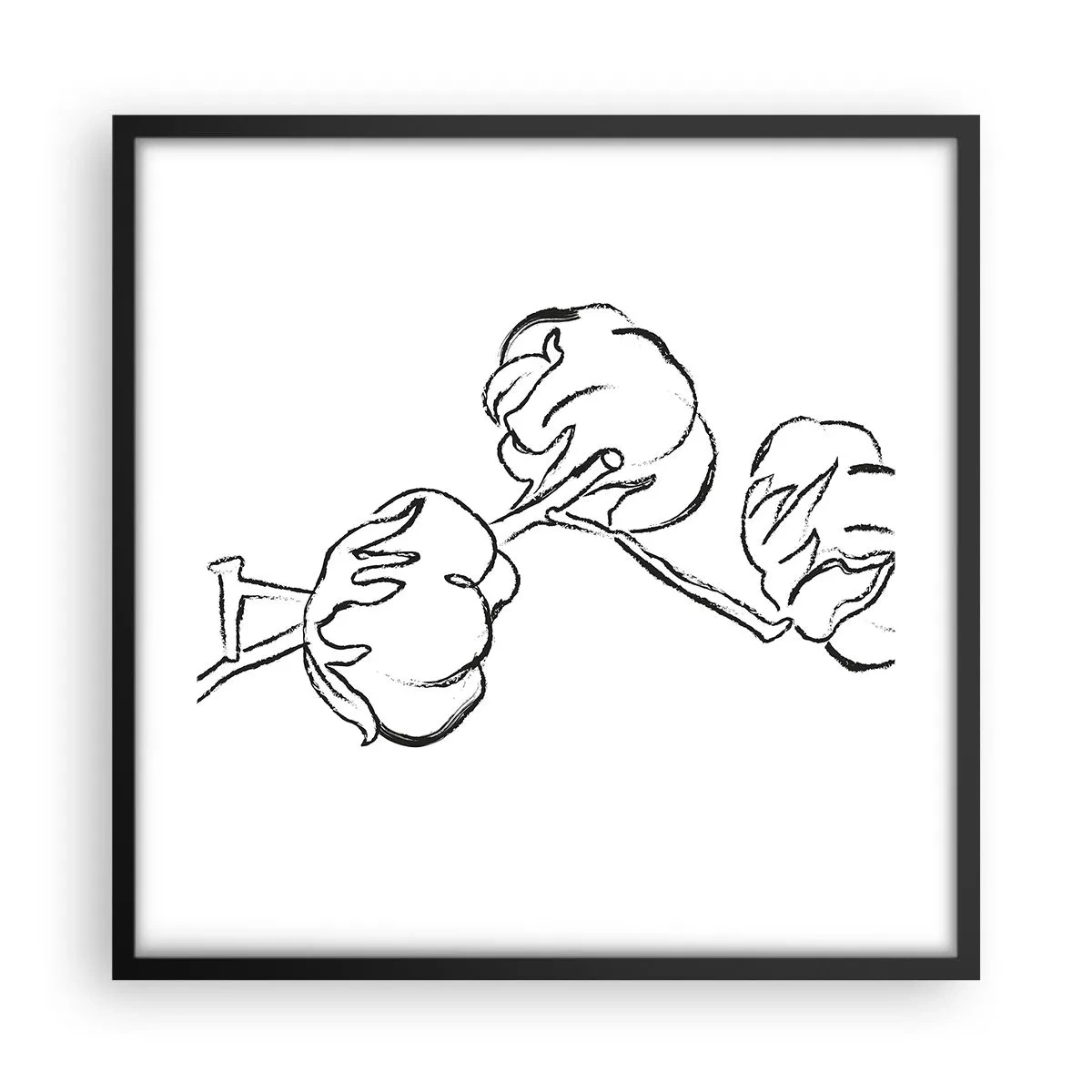 Affisch i svart ram - Bomullsdun - 50x50 cm