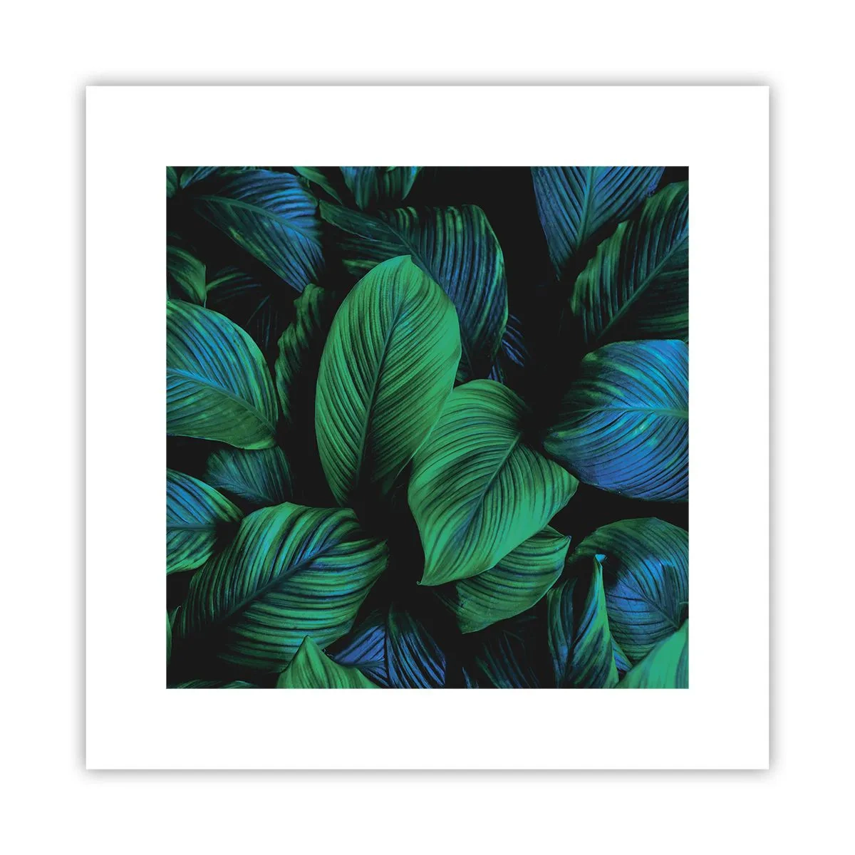 Affisch - I gröna folkmassan - 30x30 cm