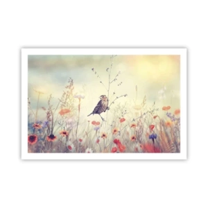 Affisch - Fågelporträtt med en äng i bakgrunden - 91x61 cm