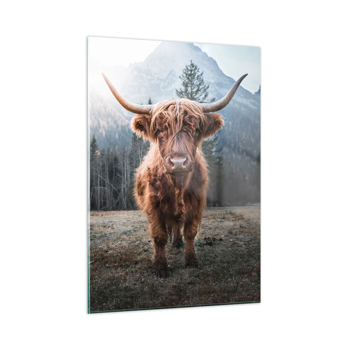 Glastavla - Bild på glas - Hälsningar från fjälläng - 50x70 cm