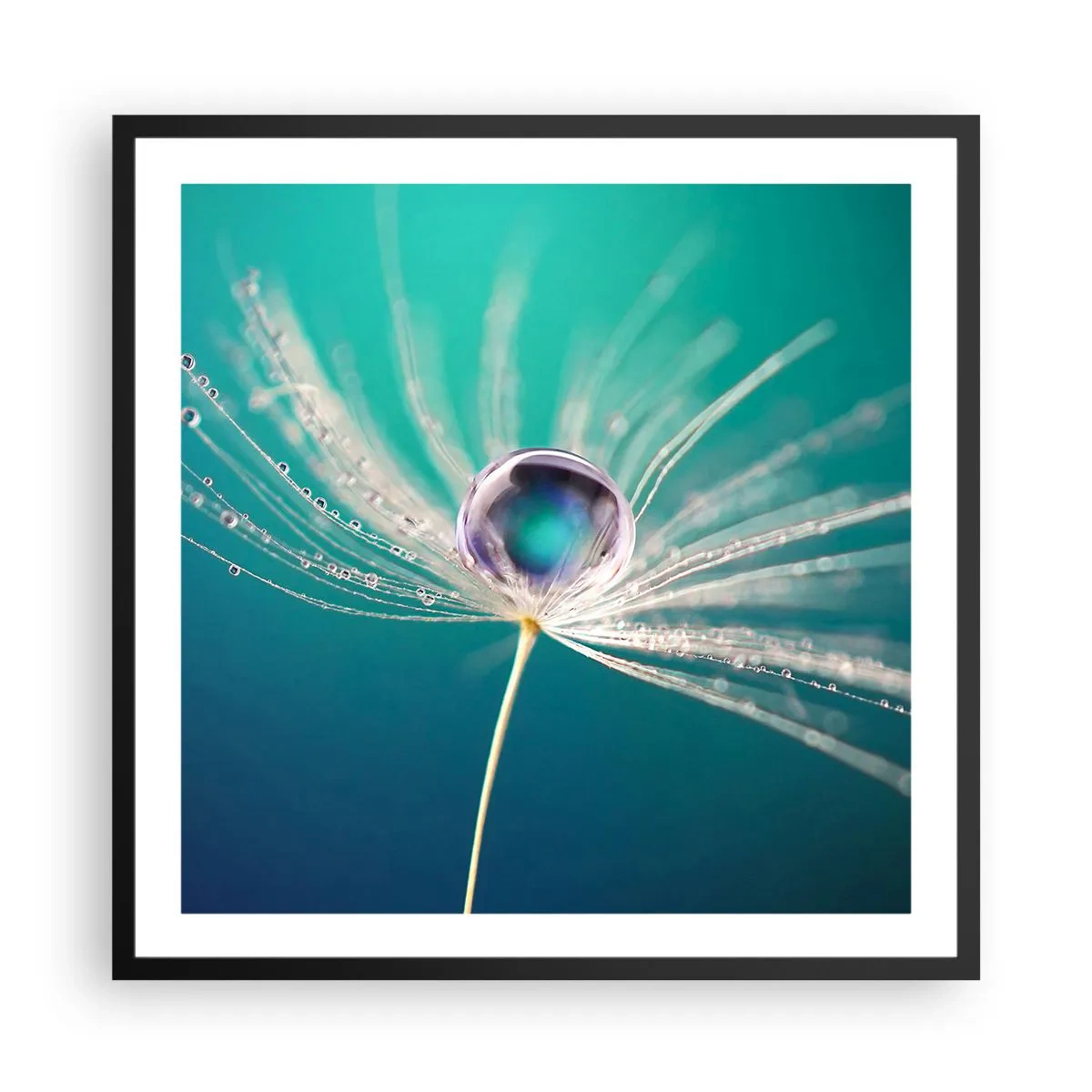 Affisch i svart ram - Mystisk stund - 60x60 cm