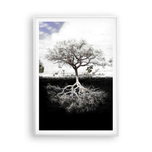 Affisch i vit ram - Upptäckt av världens natur - 70x100 cm