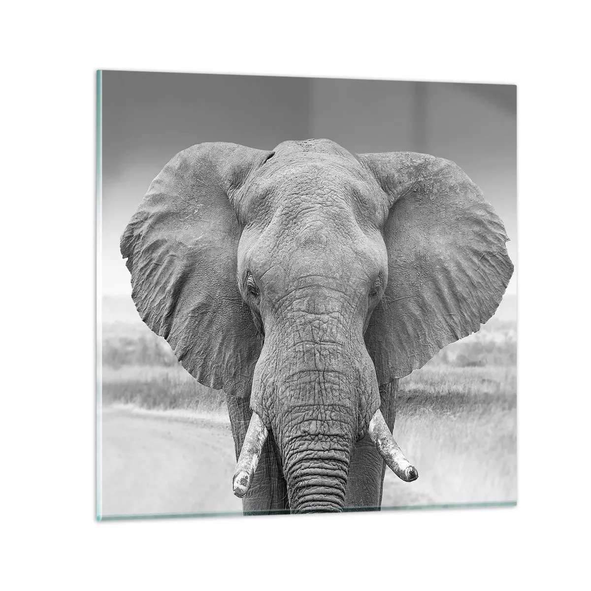 Glastavla - Bild på glas - Välkommen till min värld - 50x50 cm