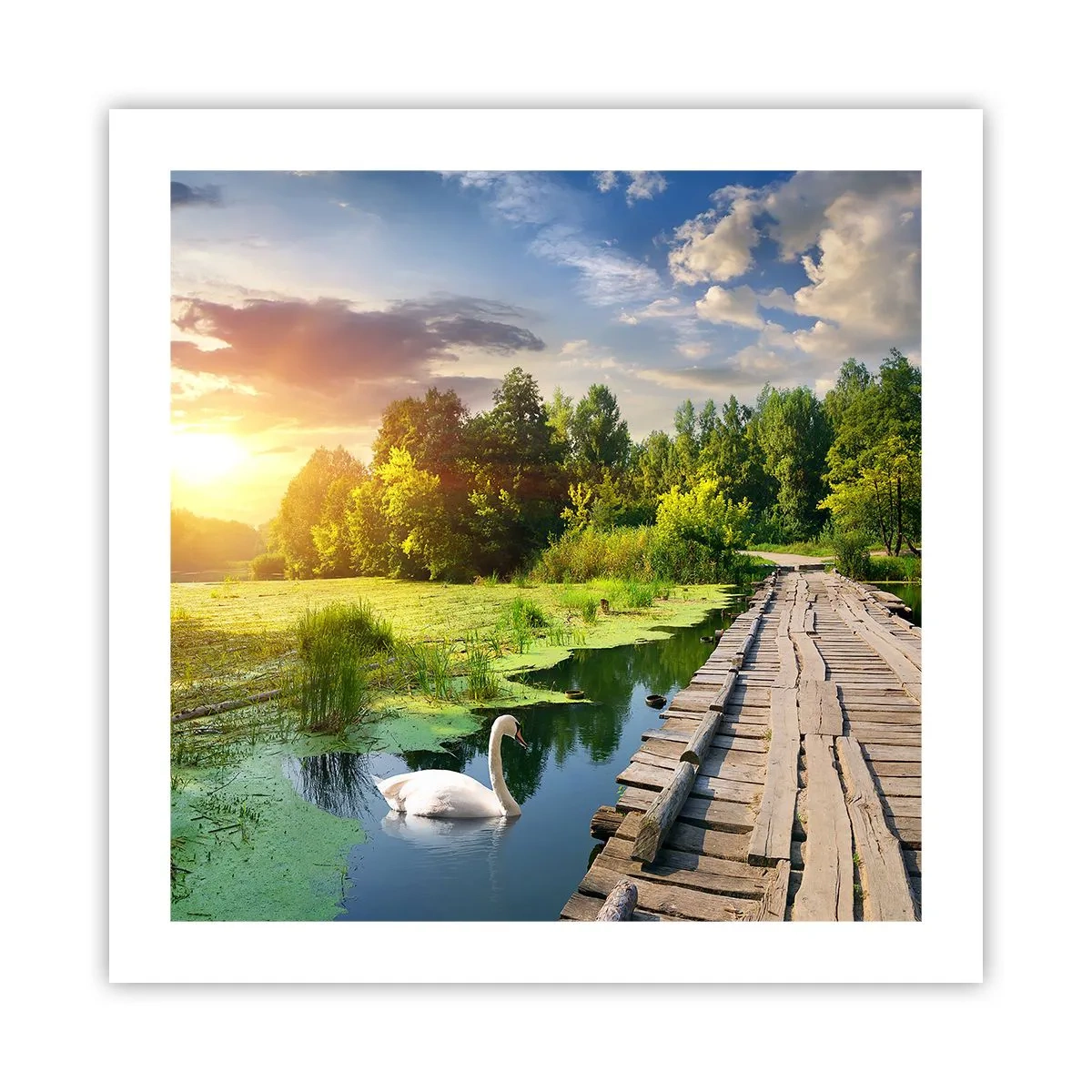 Affisch - Sommar, sommar överallt - 50x50 cm