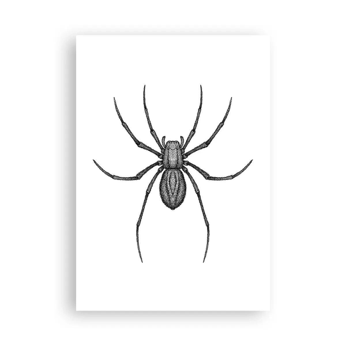 Affisch - Oroväckande precision - 70x100 cm