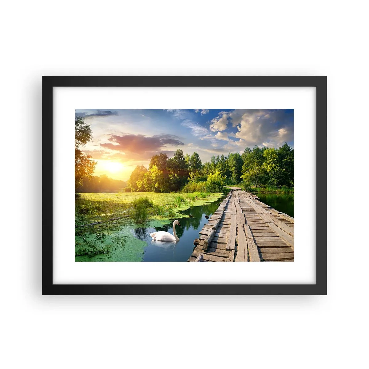 Affisch i svart ram - Sommar, sommar överallt - 40x30 cm
